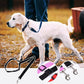 📢📢50 % Rabatt!! ⏰🎁 2+1 GRATIS!! 🥳🐶 Heißer Verkauf – Einziehbarer Hunde-Autosicherheitsgurt 🚗