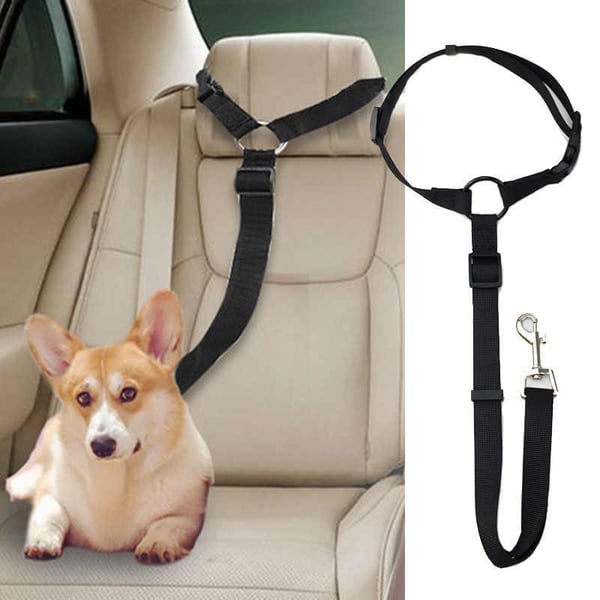 📢📢50 % Rabatt!! ⏰🎁 2+1 GRATIS!! 🥳🐶 Heißer Verkauf – Einziehbarer Hunde-Autosicherheitsgurt 🚗