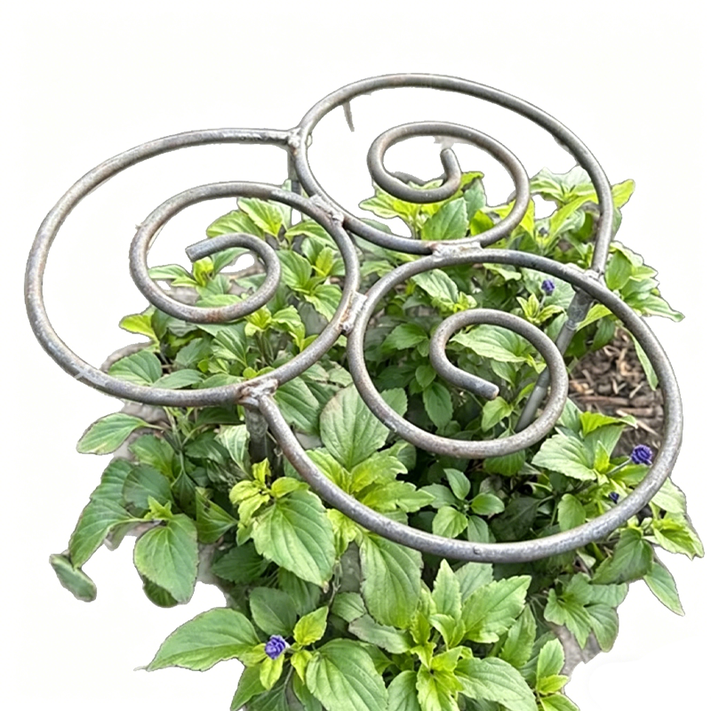 Stabile Pflanzenstütze für Blumen
