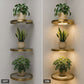 🍀BEFRISTET 50% RABATT! ✨Schwebendes Wandregal mit integriertem Ambiente-LED-Licht
