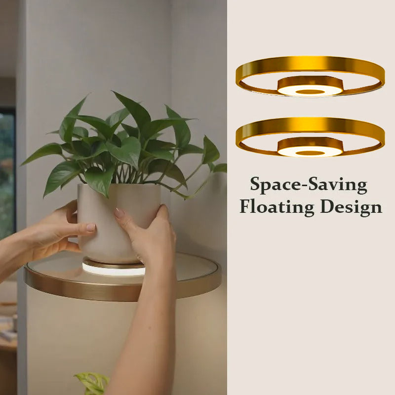🍀BEFRISTET 50% RABATT! ✨Schwebendes Wandregal mit integriertem Ambiente-LED-Licht
