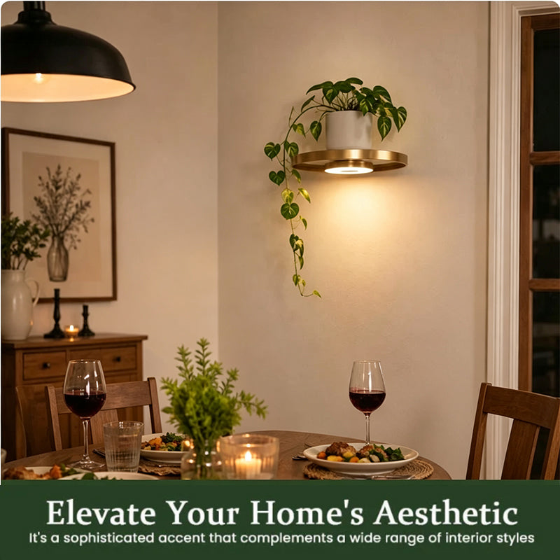 🍀BEFRISTET 50% RABATT! ✨Schwebendes Wandregal mit integriertem Ambiente-LED-Licht