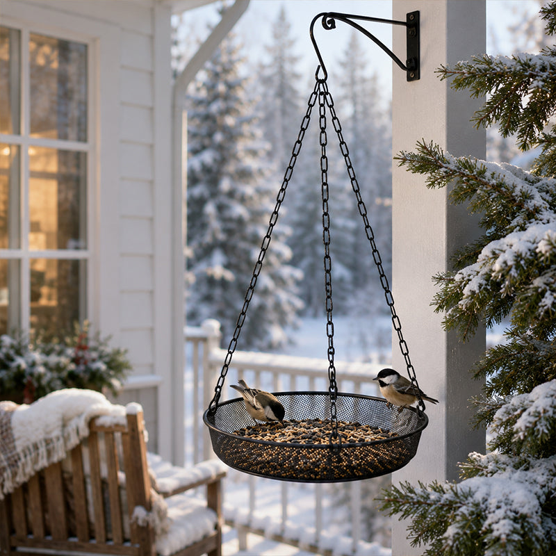 🌿 50 % Rabatt – Metall-Vogelhängehaus mit runder Futterschale – wetterfest, stabil & vielseitig für Garten, Balkon & Terrasse 🐦