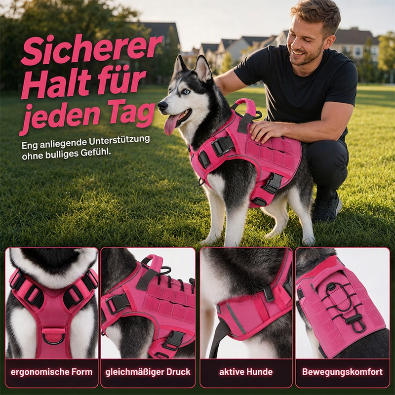 🐕 50% DE RÉDUCTION! 🦺 Harnais chien en Oxford – Durable, respirant & facile à ajuster ✨